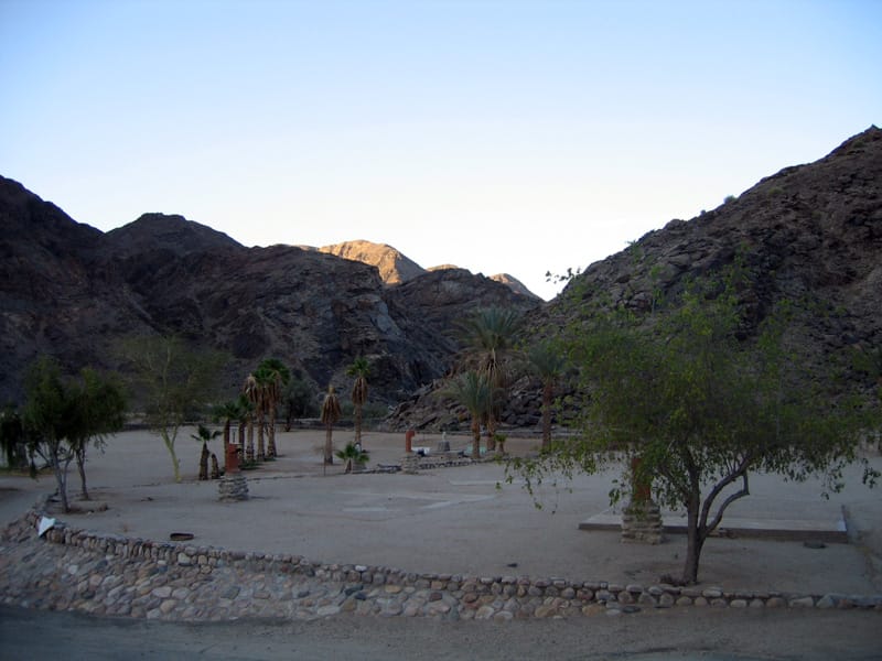 Open ground with palms and trees in front of dark rocky mountains in morning light