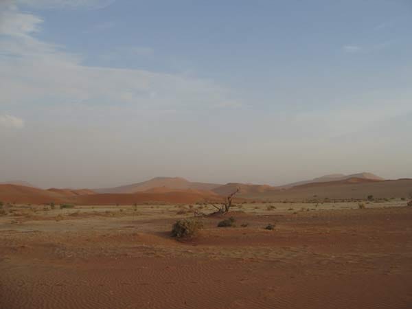 Weite Sandebene im Abendlicht, am Horizont rote Dünen