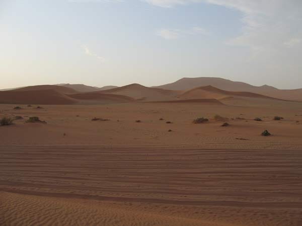 Tiefer Sand mit Reifenspuren vor Dünen