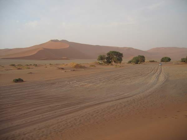 Reifenspuren im Sand, weit hinten rechts ein Auto