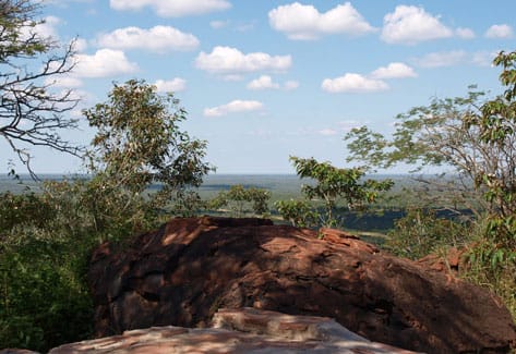 View from a red sandstone rock over green bush to the wide plain