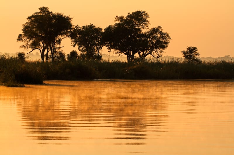 Bäume spiegeln sich bei Sonnenaufgang im Kwando
