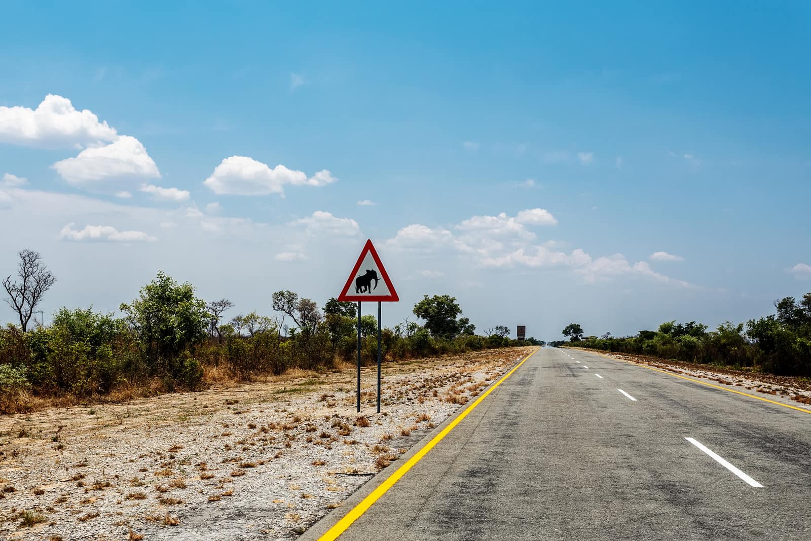 Asphaltstraße mit Warnschild vor Elefanten unter blauem Himmel