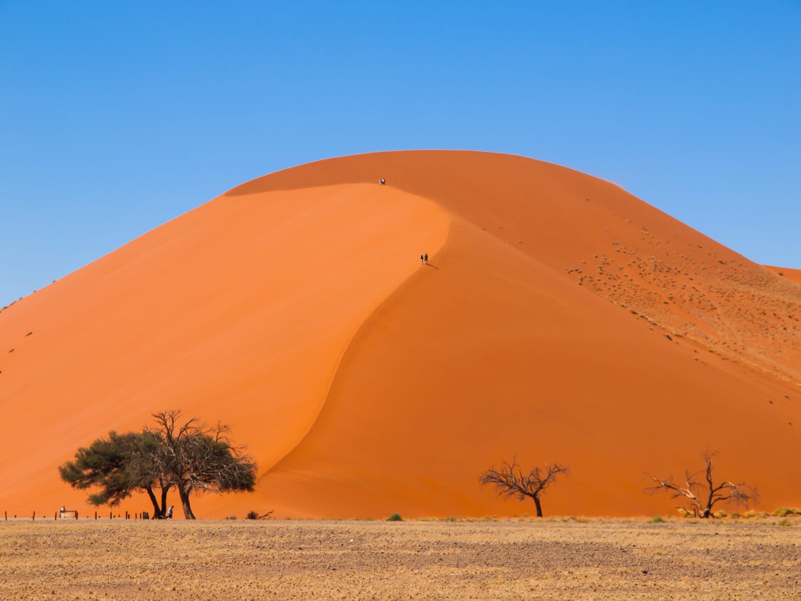 Red Namib dunes in evening light