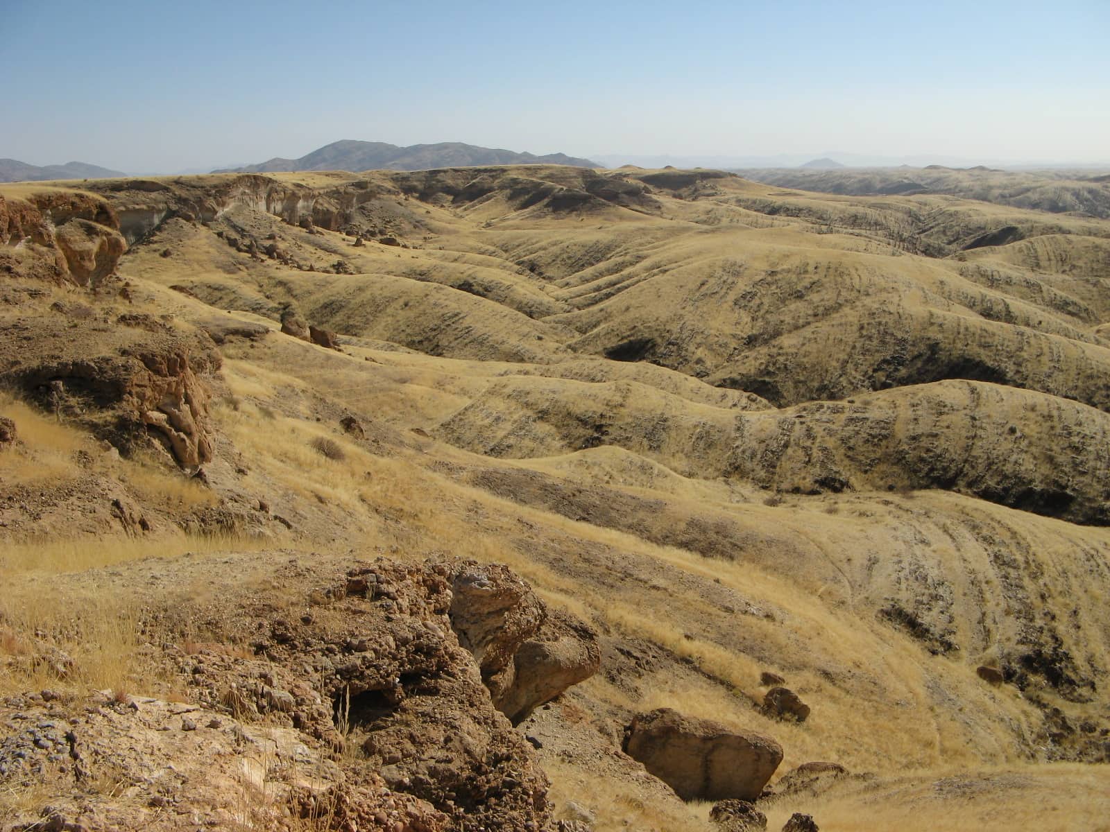 Furrowed, grassy hills in the Namib near the Kuiseb
