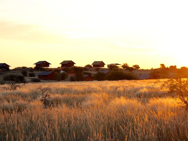 Bagatelle Kalahari Game Ranch